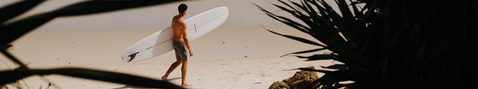 Sports nautiques - Longboard