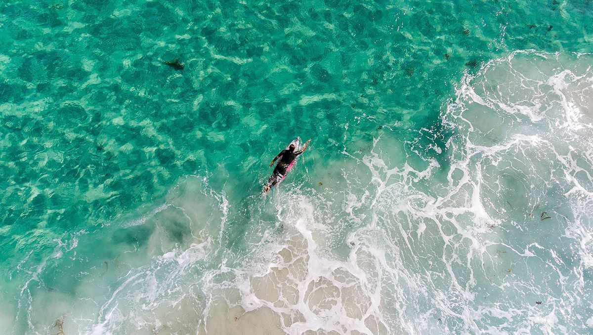 Partenariats de bienfaisance de SFC