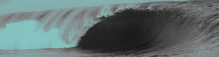 Rencontre avec Nathan Florence