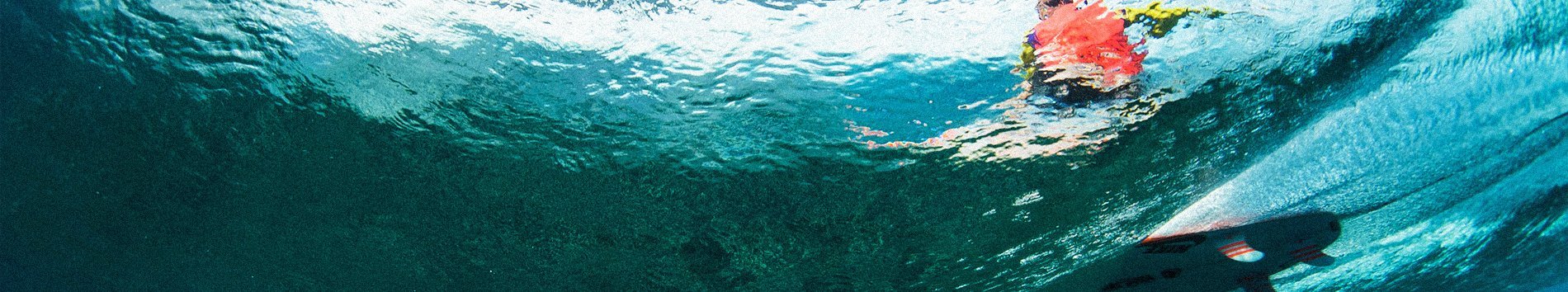 Arrivée de la nouvelle saison