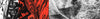 Série Signature Filipe Toledo