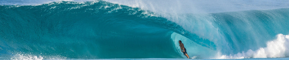 Fins
