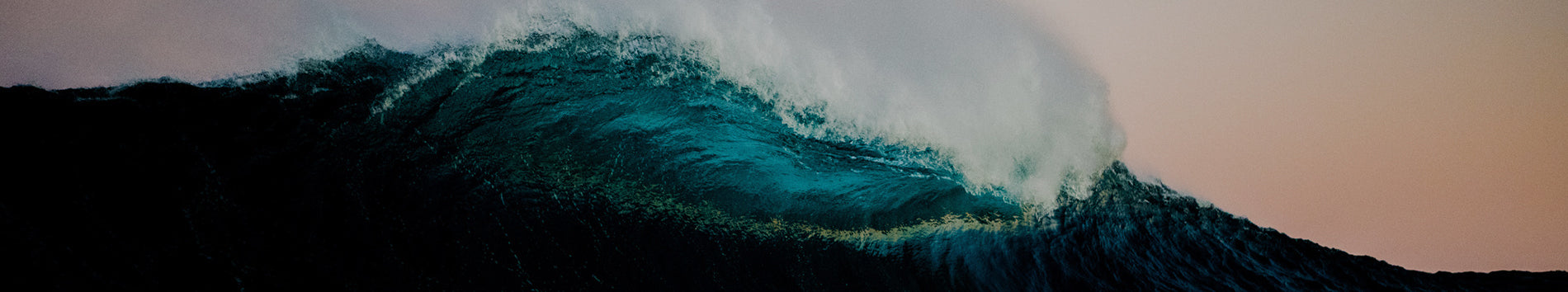 Tees, Hoodies & Caps